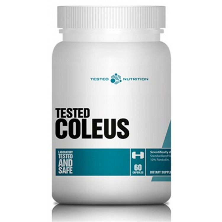 TESTED COLEUS 60 stk 