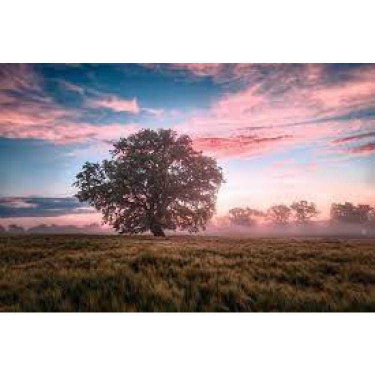 CHIBA ATHLETIC GLOVES BLACK