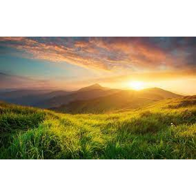 CHIBA ATHLETIC GLOVES BLACK