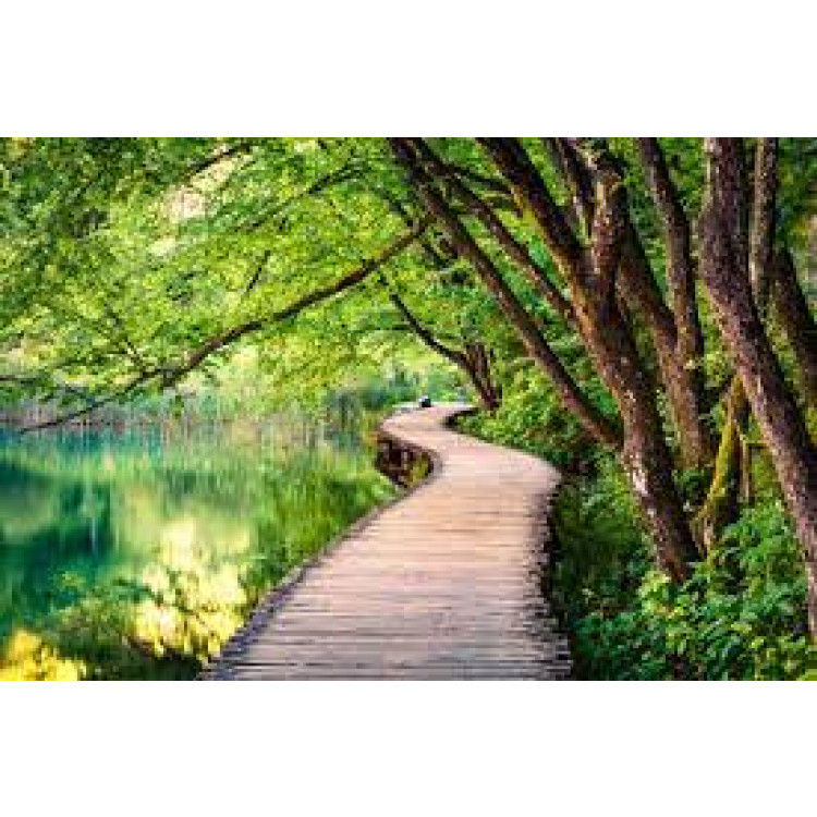 CHIBA ATHLETIC GLOVES BLACK